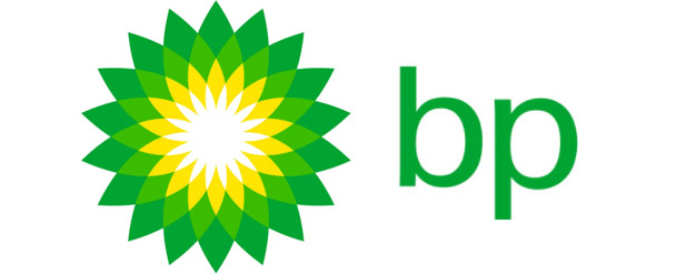 Procurement Lead for BP Solar Australia Project‌